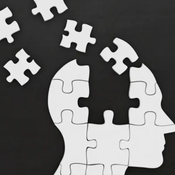 imagen de una cabeza con forma de puzle